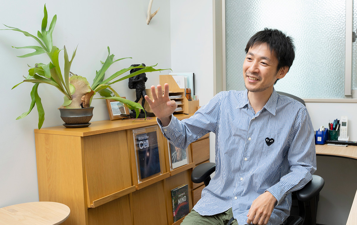 エンハンサーの働きをライブイメージングを駆使して、分子レベルで解明する~深谷 雄志・東京大学 定量生命科学研究所 准教授